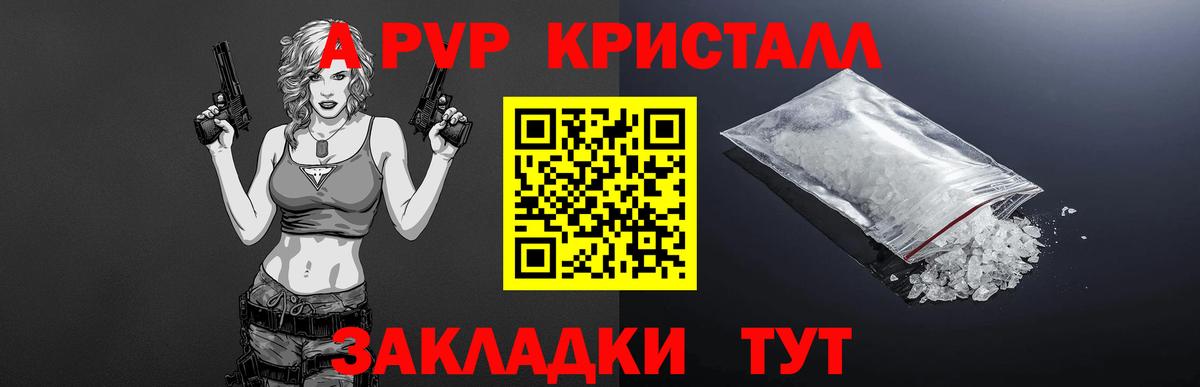 Alfa_PVP СК Александров
