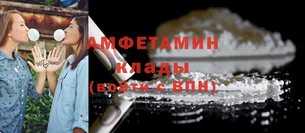тгк Пересвет