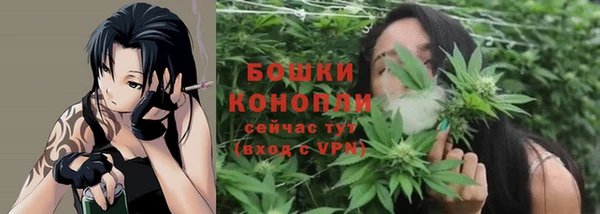 тгк Пересвет