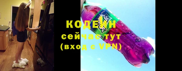 дурь Пестово