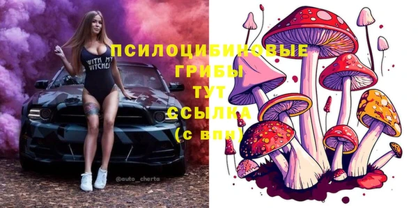 дурь Пестово