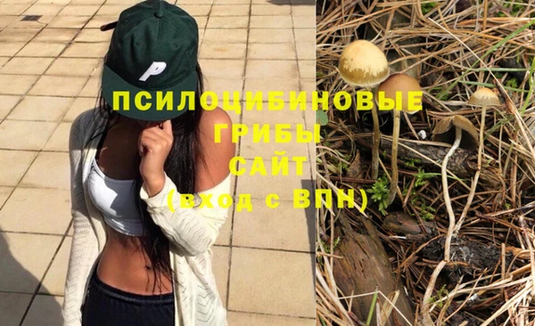 таблы Переславль-Залесский