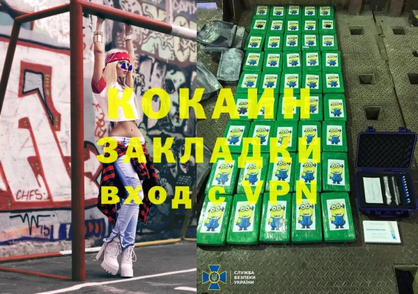 тгк Пересвет