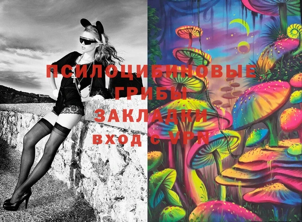 дурь Пестово