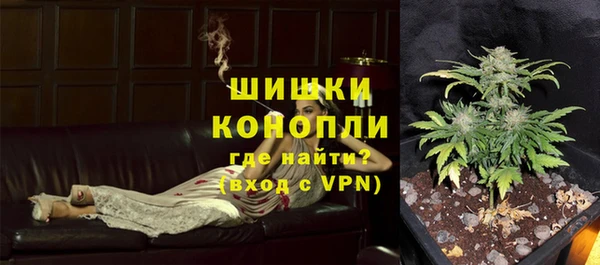 тгк Пересвет