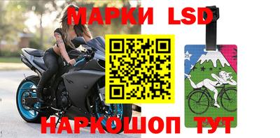 эйфоретик Гатчина