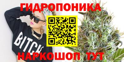 эйфоретик Гатчина