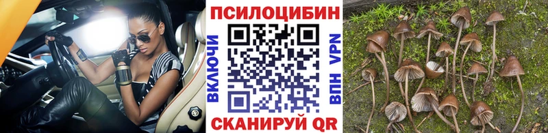 Псилоцибиновые грибы мухоморы  нарко площадка наркотические препараты  Александров  закладки 