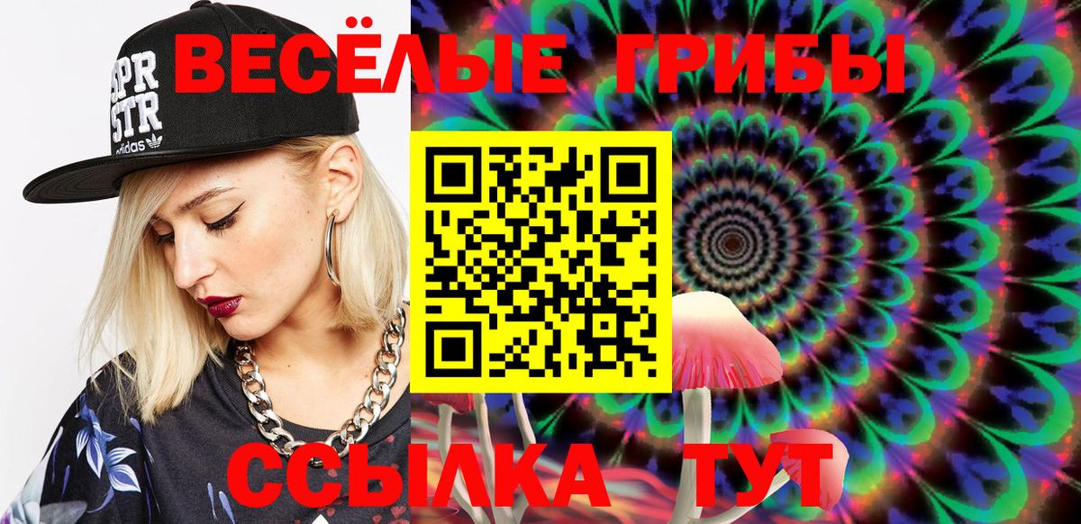 Галлюциногенные грибы Psilocybe  Александров 