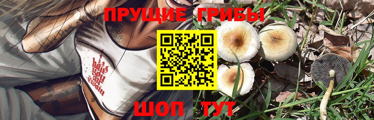 Псилоцибиновые грибы мицелий  Вход с VPN  Александров 