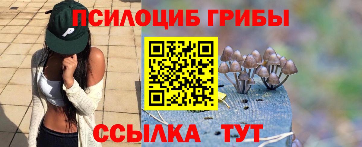 Псилоцибиновые грибы GOLDEN TEACHER Александров